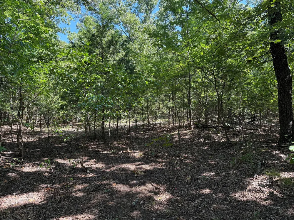 Oak Hills Drive Tishomingo, OK 73460