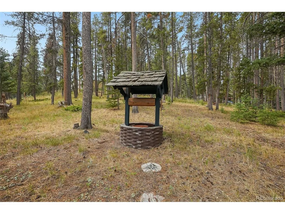 11957 Elk Trail Road Conifer, CO 80433