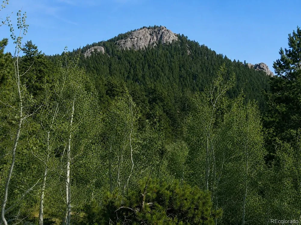 11957 Elk Trail Road Conifer, CO 80433