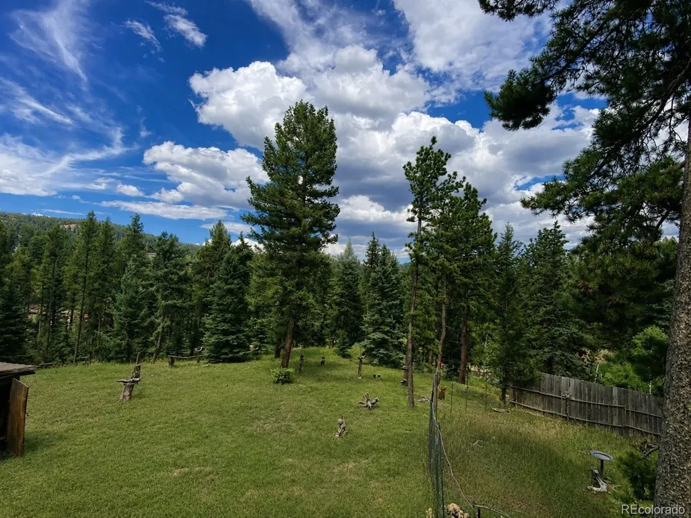 11957 Elk Trail Road Conifer, CO 80433