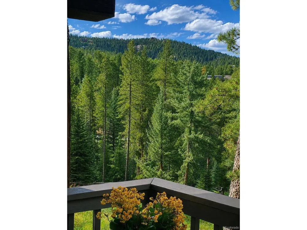11957 Elk Trail Road Conifer, CO 80433