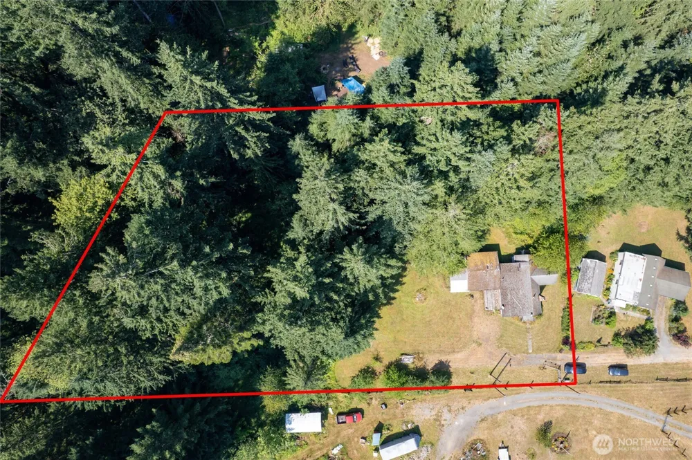 22520 State Route 706 E Ashford, WA 98304