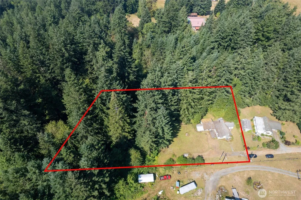 22520 State Route 706 E Ashford, WA 98304