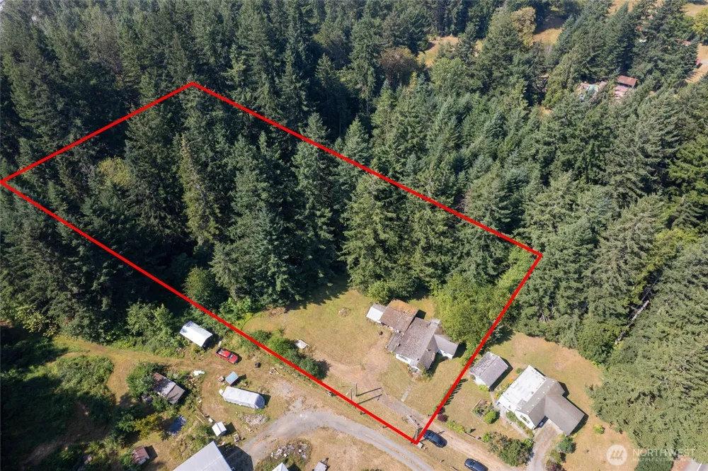 22520 State Route 706 E Ashford, WA 98304