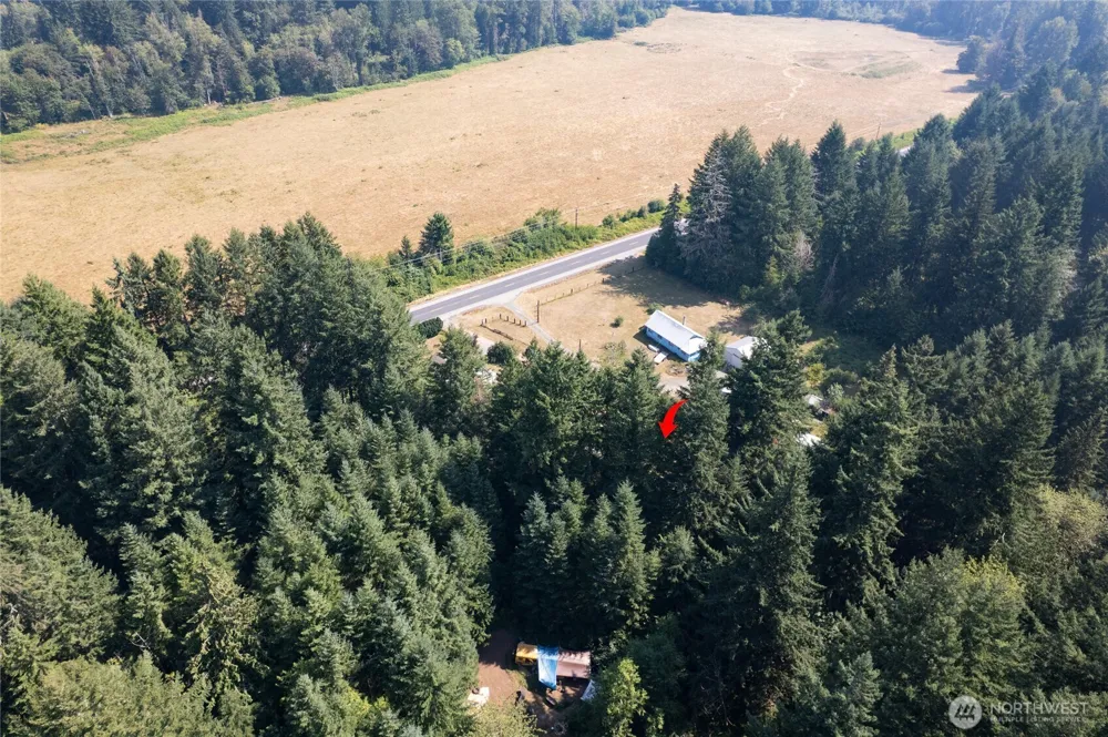 22520 State Route 706 E Ashford, WA 98304