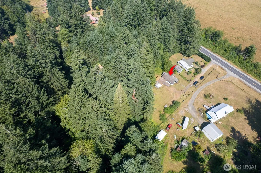 22520 State Route 706 E Ashford, WA 98304