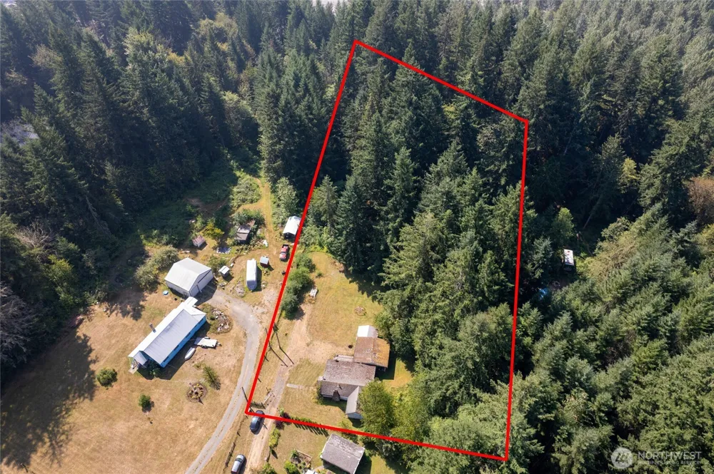 22520 State Route 706 E Ashford, WA 98304