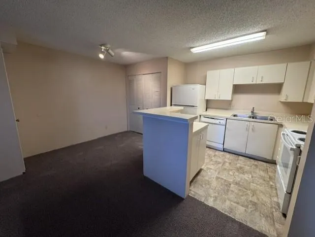 320 FORESTWAY CIRCLE #203 Altamonte Springs, FL 32701