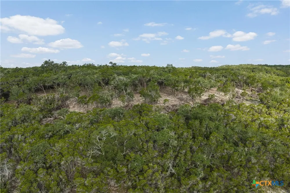 4 Mount Olive School Road Wimberley, TX 78676