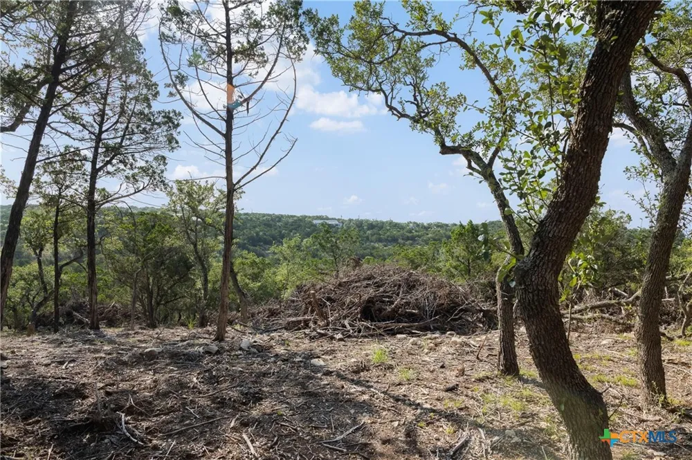 4 Mount Olive School Road Wimberley, TX 78676