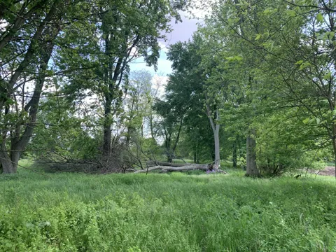 Brink Road