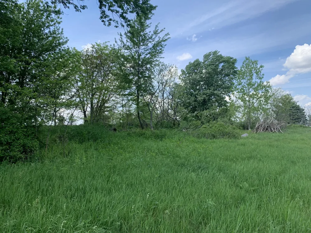 Brink Road Bronson, MI 49028