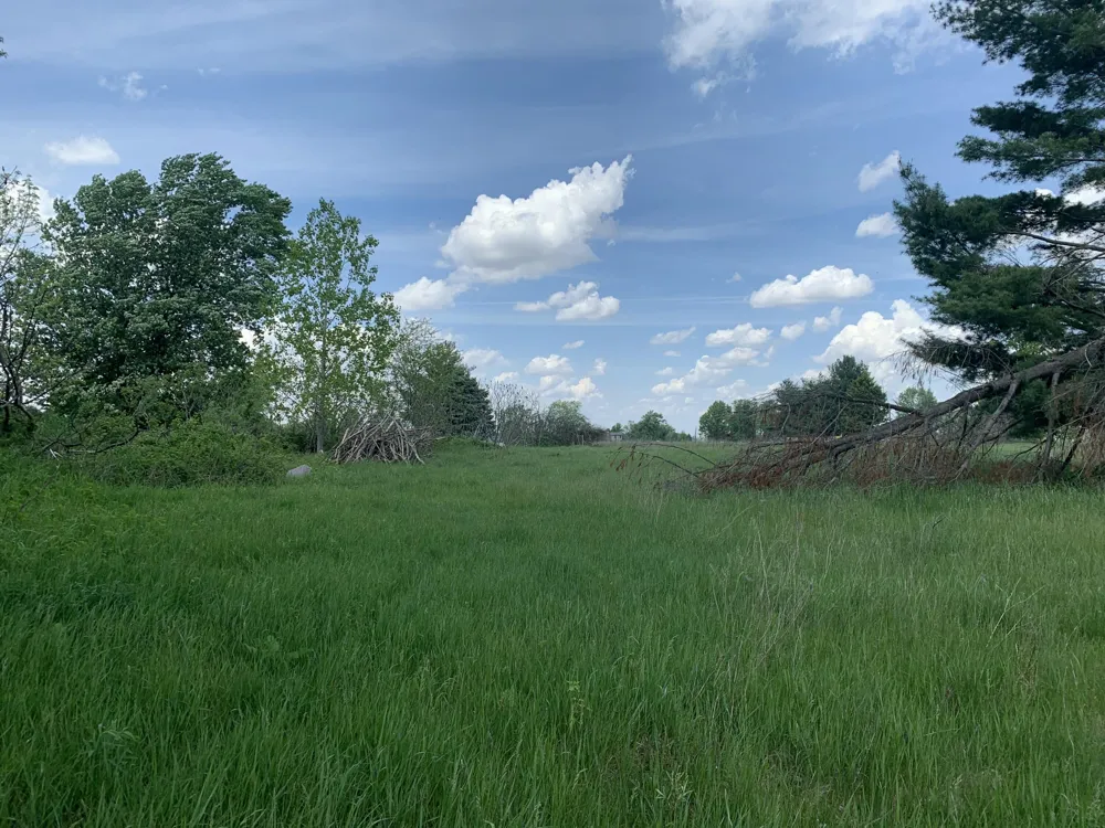 Brink Road Bronson, MI 49028