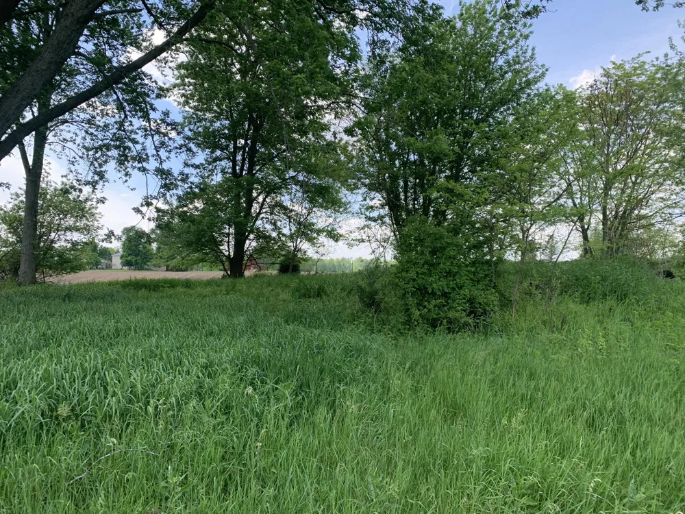Brink Road Bronson, MI 49028