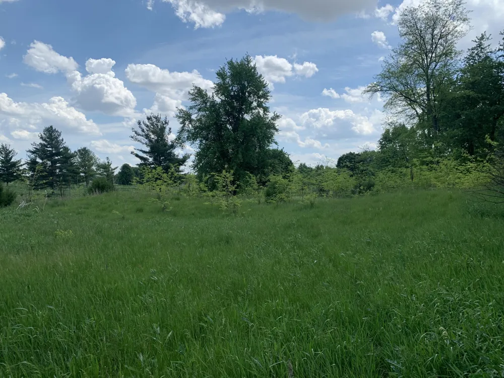 Brink Road Bronson, MI 49028