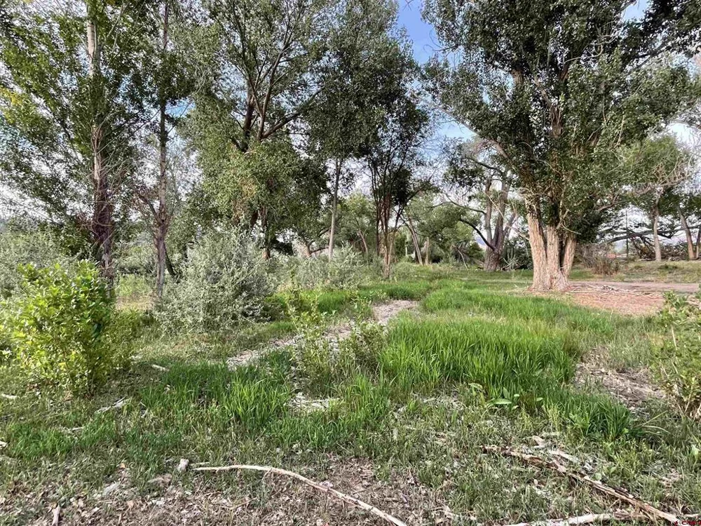 38153 Coburn Road Paonia, CO 81428