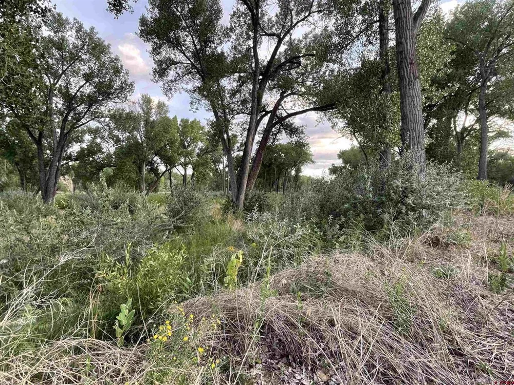 38153 Coburn Road Paonia, CO 81428