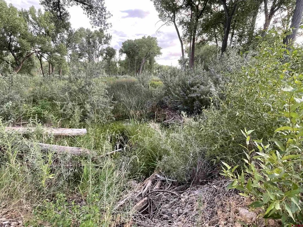 38153 Coburn Road Paonia, CO 81428