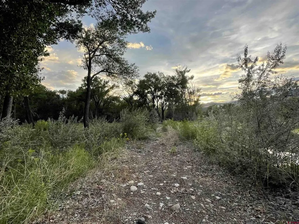 38153 Coburn Road Paonia, CO 81428