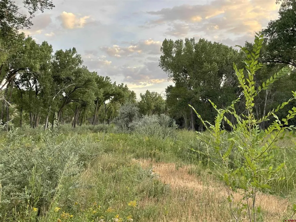38153 Coburn Road Paonia, CO 81428