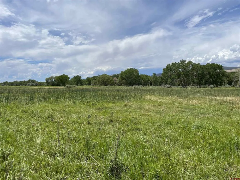 38153 Coburn Road Paonia, CO 81428