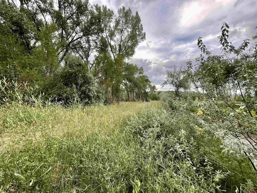 38153 Coburn Road Paonia, CO 81428