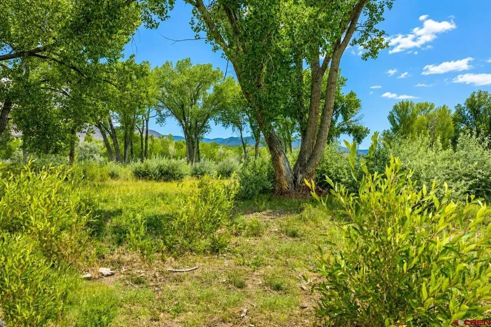 38153 Coburn Road Paonia, CO 81428