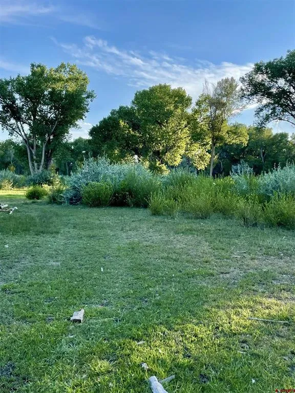 38153 Coburn Road Paonia, CO 81428
