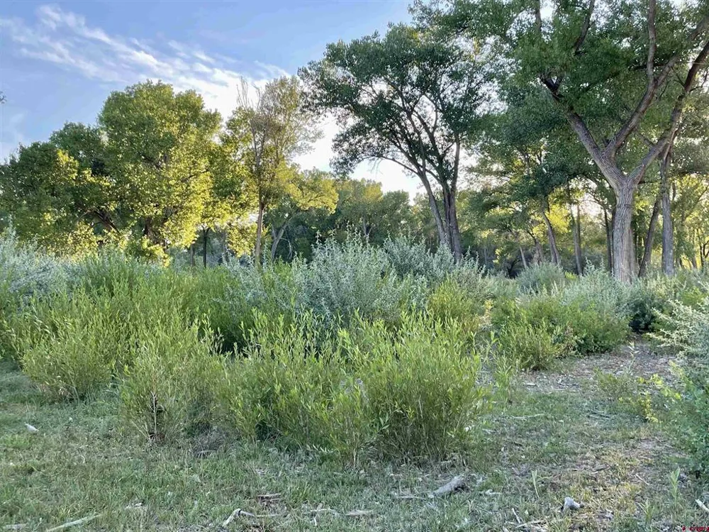 38153 Coburn Road Paonia, CO 81428