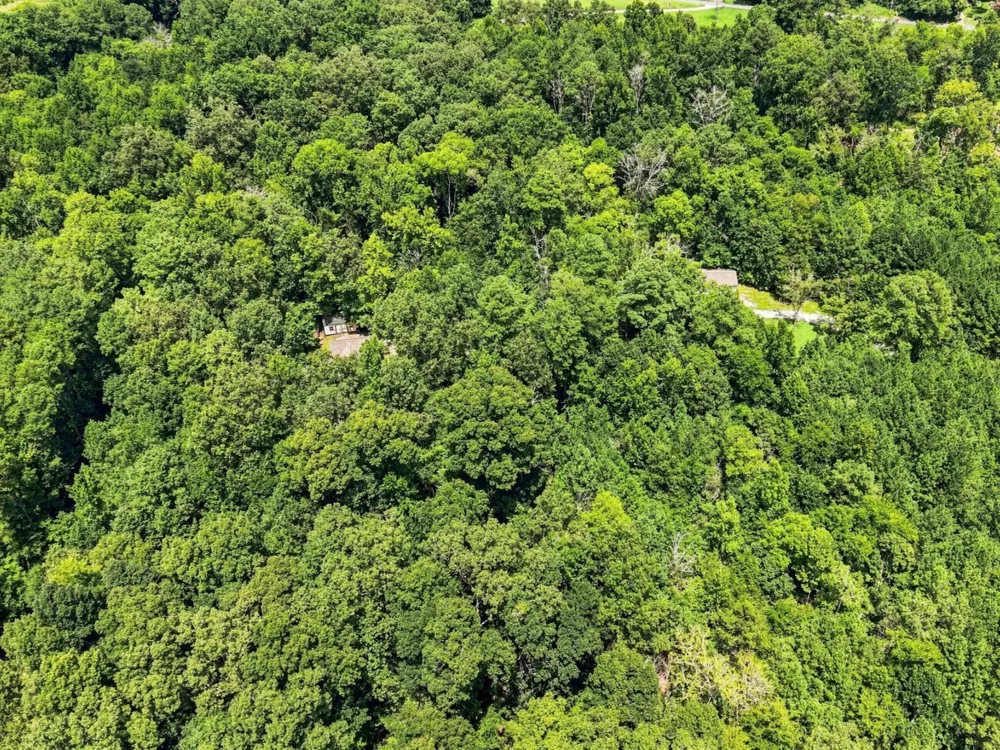 158 Hidden Hollow Road Ringgold, GA 30736