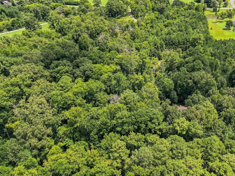 158 Hidden Hollow Road Ringgold, GA 30736