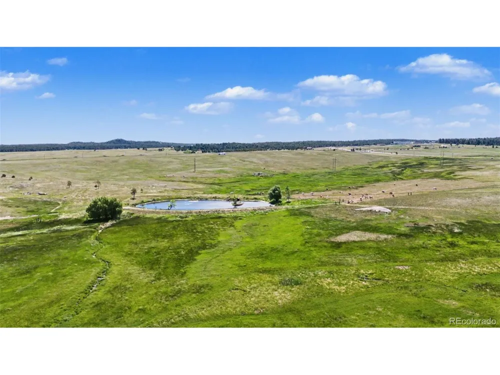 18831 Cherry Springs Ranch Drive Monument, CO 80132