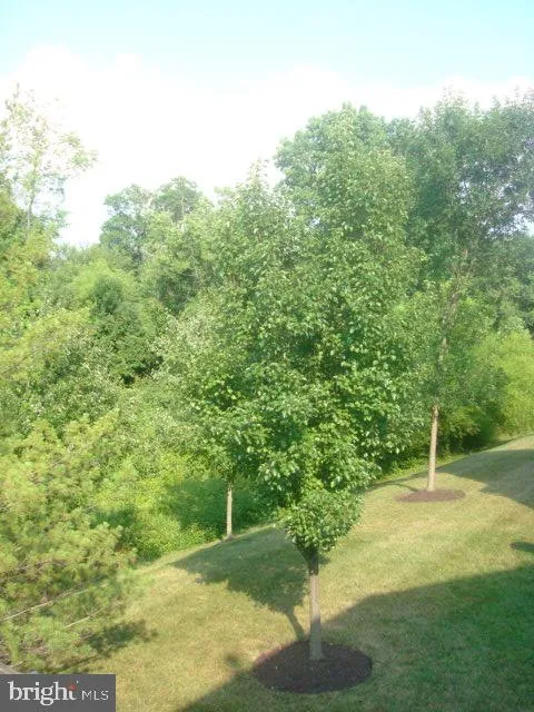 6348 GRAY SEA WAY Columbia, MD 21045