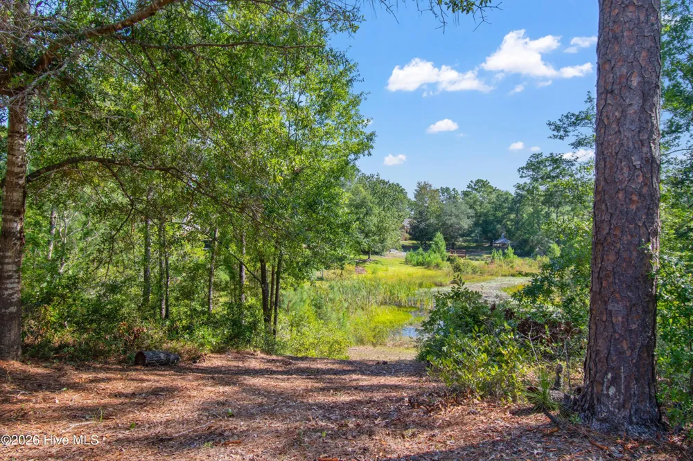 1400 Cottage Lane Boiling Spring Lakes, NC 28461