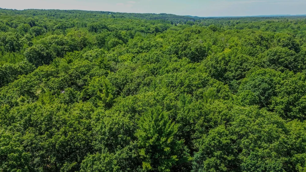 11775 Country Acres Drive Unknown, MI 49643
