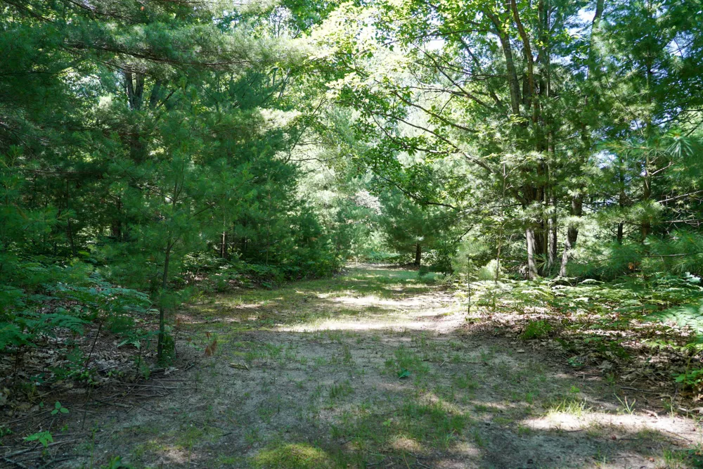 11775 Country Acres Drive Unknown, MI 49643