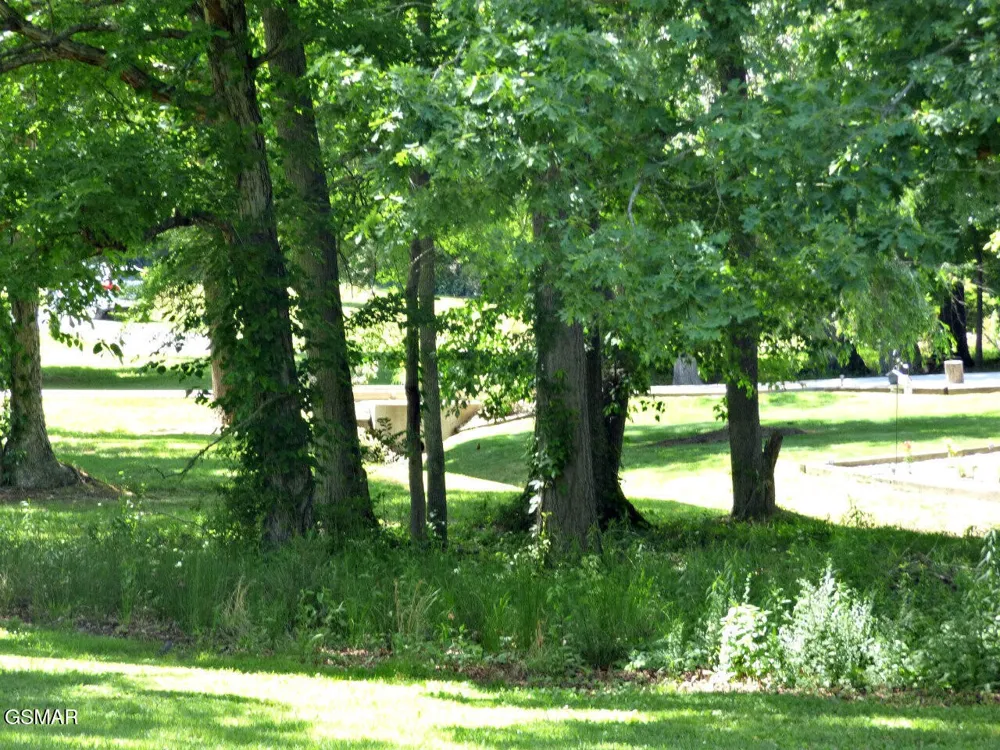 1013 Tara View Way White Pine, TN 37890