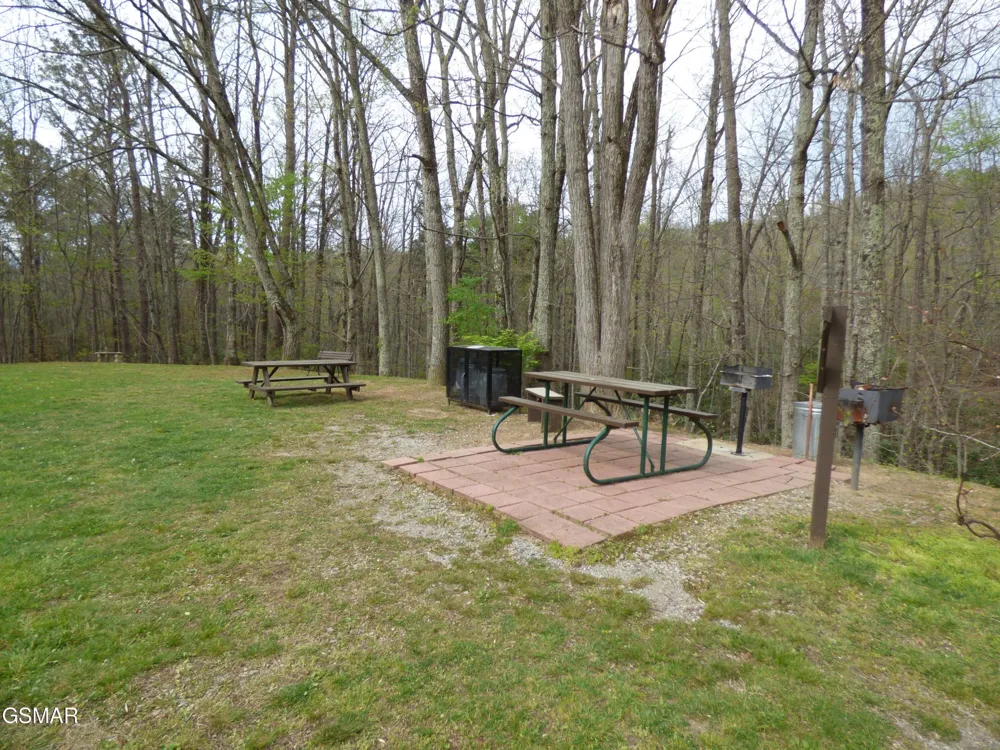 1081 Cove Road #APT 821 Sevierville, TN 37876