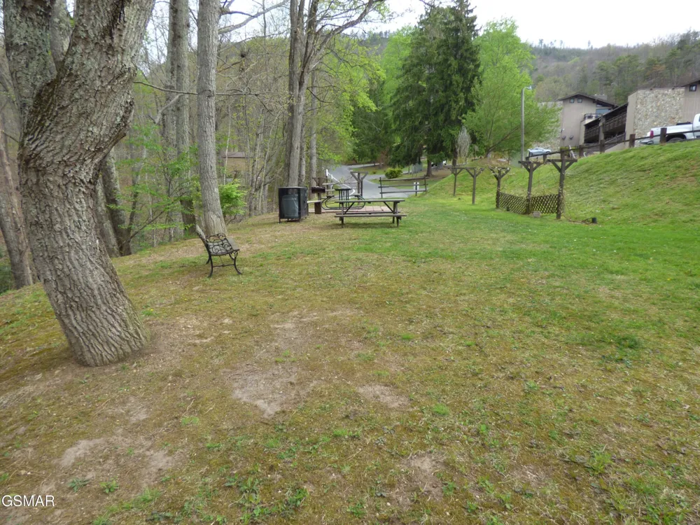1081 Cove Road #APT 821 Sevierville, TN 37876