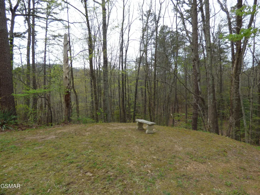1081 Cove Road #APT 821 Sevierville, TN 37876