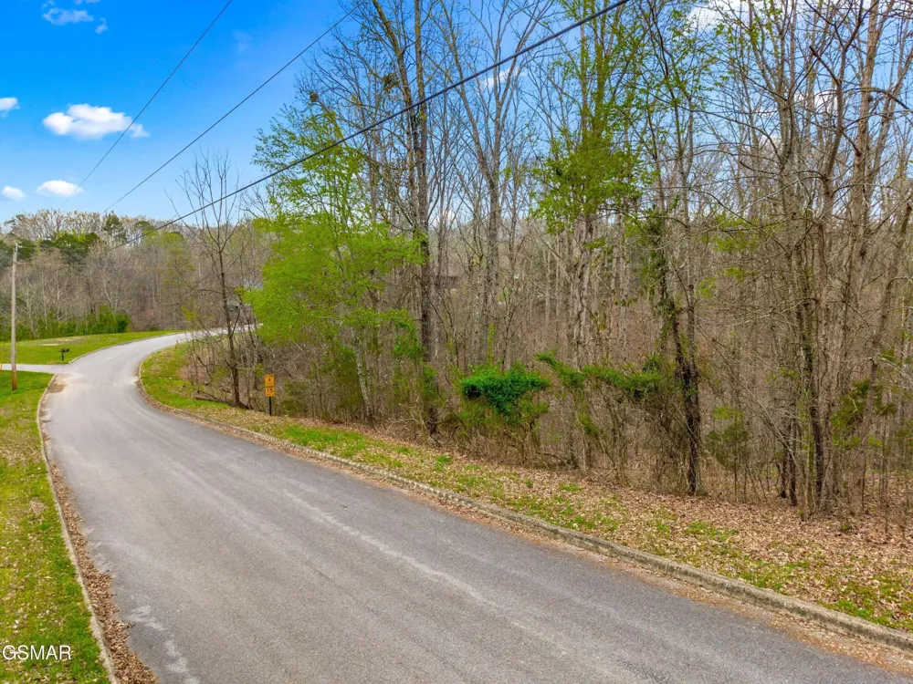 107 Turtle Dove Trail Dandridge, TN 37725