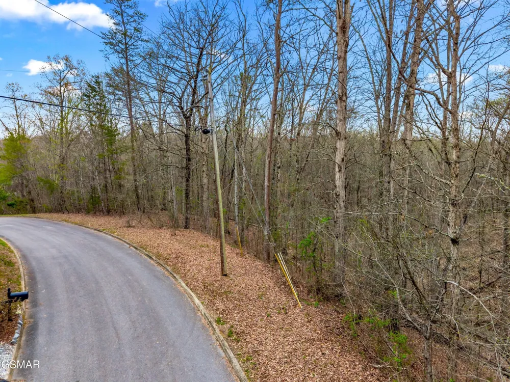 107 Turtle Dove Trail Dandridge, TN 37725