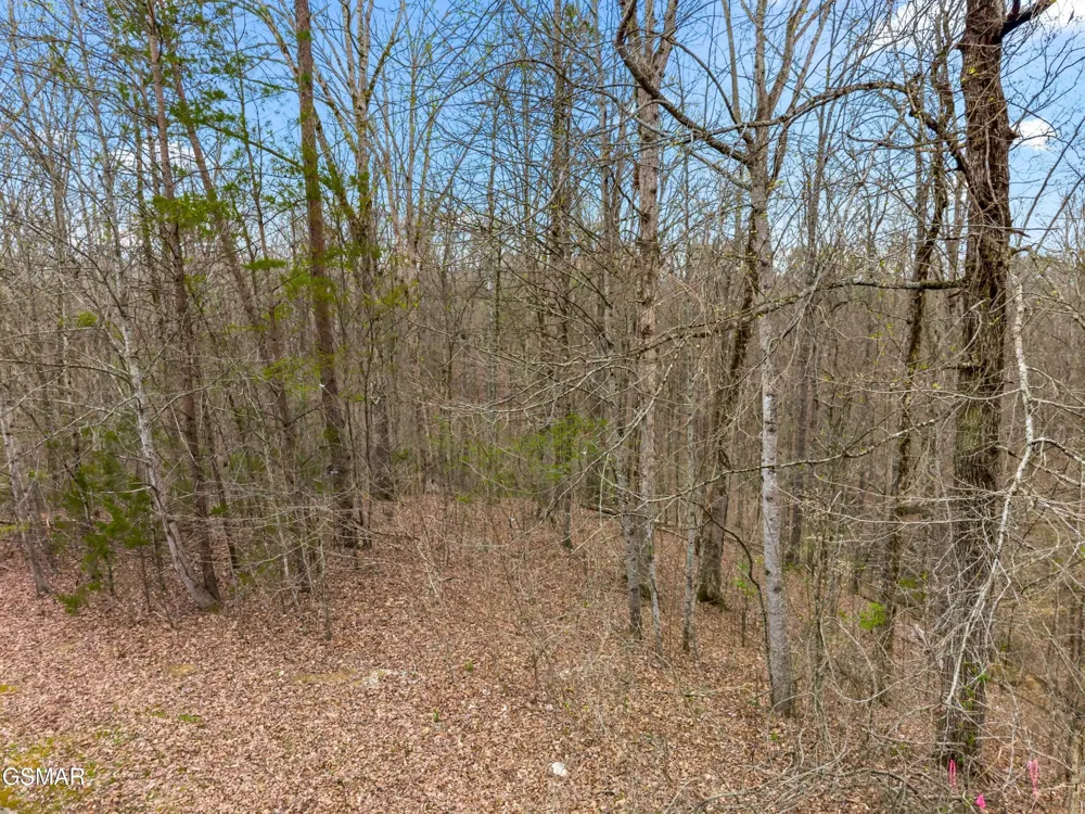 107 Turtle Dove Trail Dandridge, TN 37725