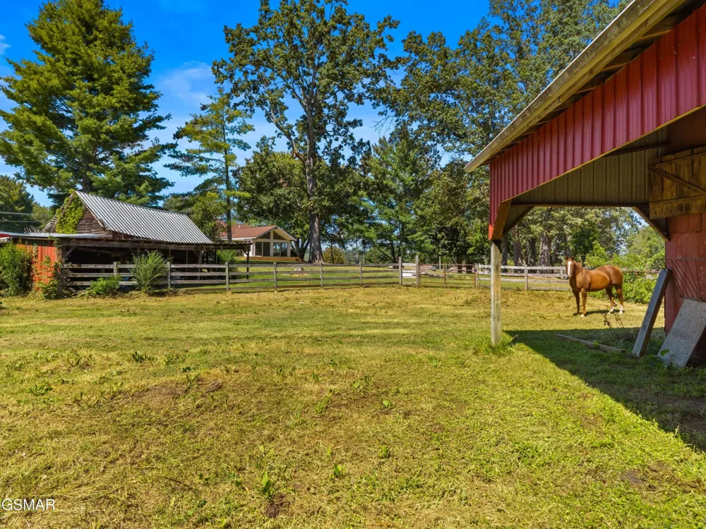 1328 W Main Street White Pine, TN 37890