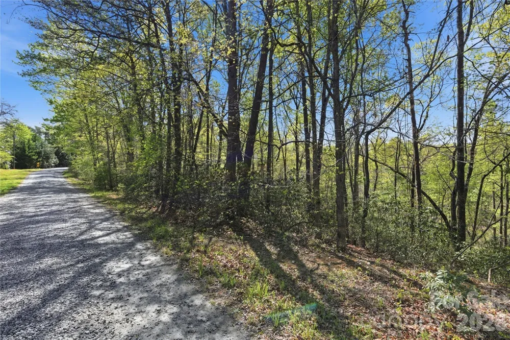 Lot 304 Sanderling Court #304 Lake Lure, NC 28746
