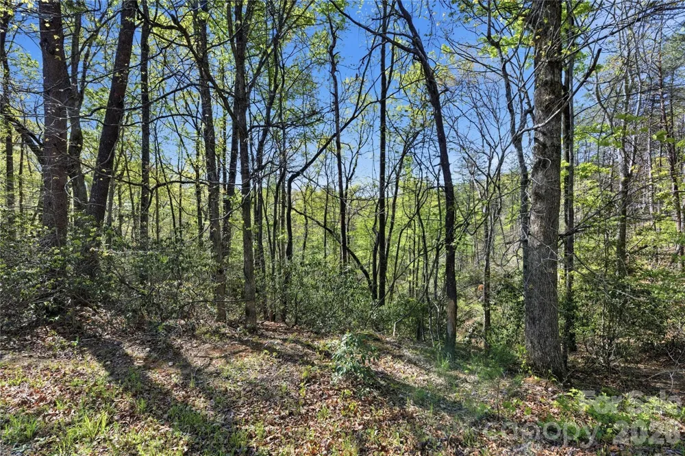 Lot 304 Sanderling Court #304 Lake Lure, NC 28746