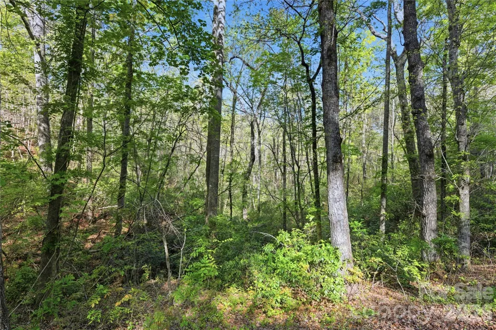 0 Wolf Trail #030 Lake Lure, NC 28746