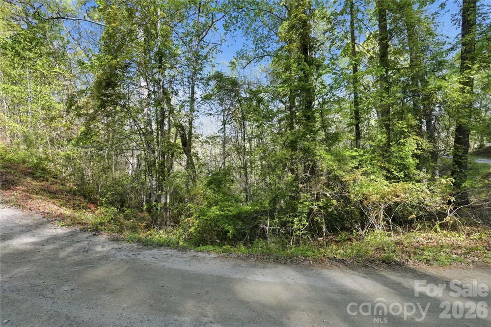 0 Wolf Trail #030 Lake Lure, NC 28746