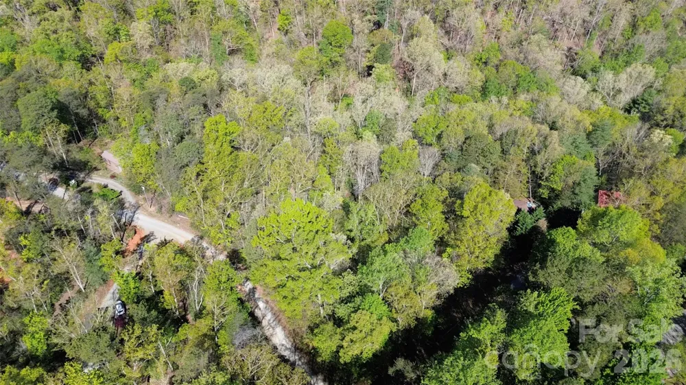0 Wolf Trail #030 Lake Lure, NC 28746