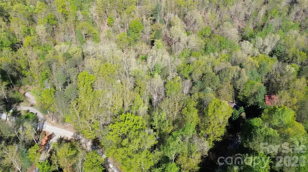 0 Wolf Trail #030 Lake Lure, NC 28746